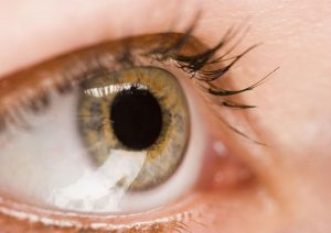 Live in Palm Beach Gardens? Your Eyes May Be at Risk For Macular Issues