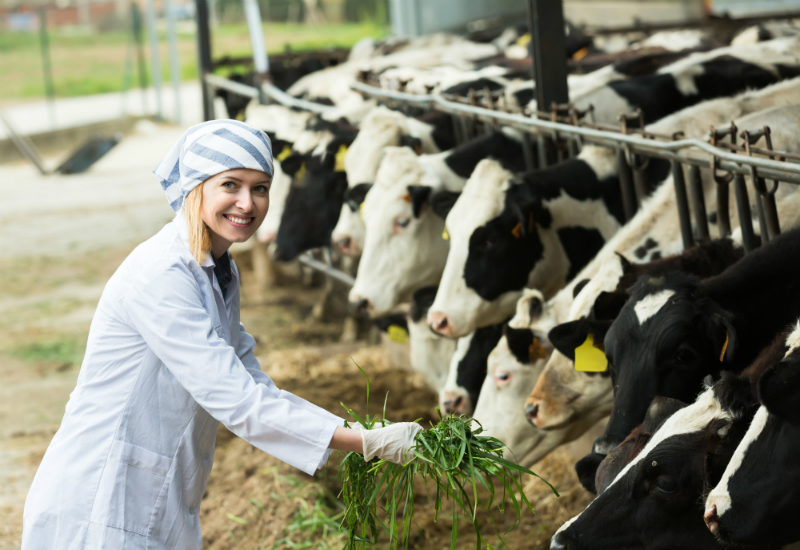 Buy Your Livestock With Complete Confidence When You Buy From the Best