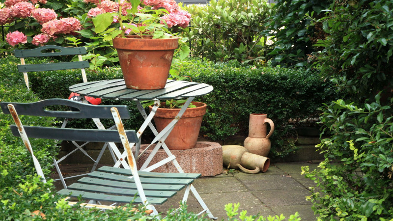 Transform Your Garden with the Best Garden Center in St Petersburg, FL