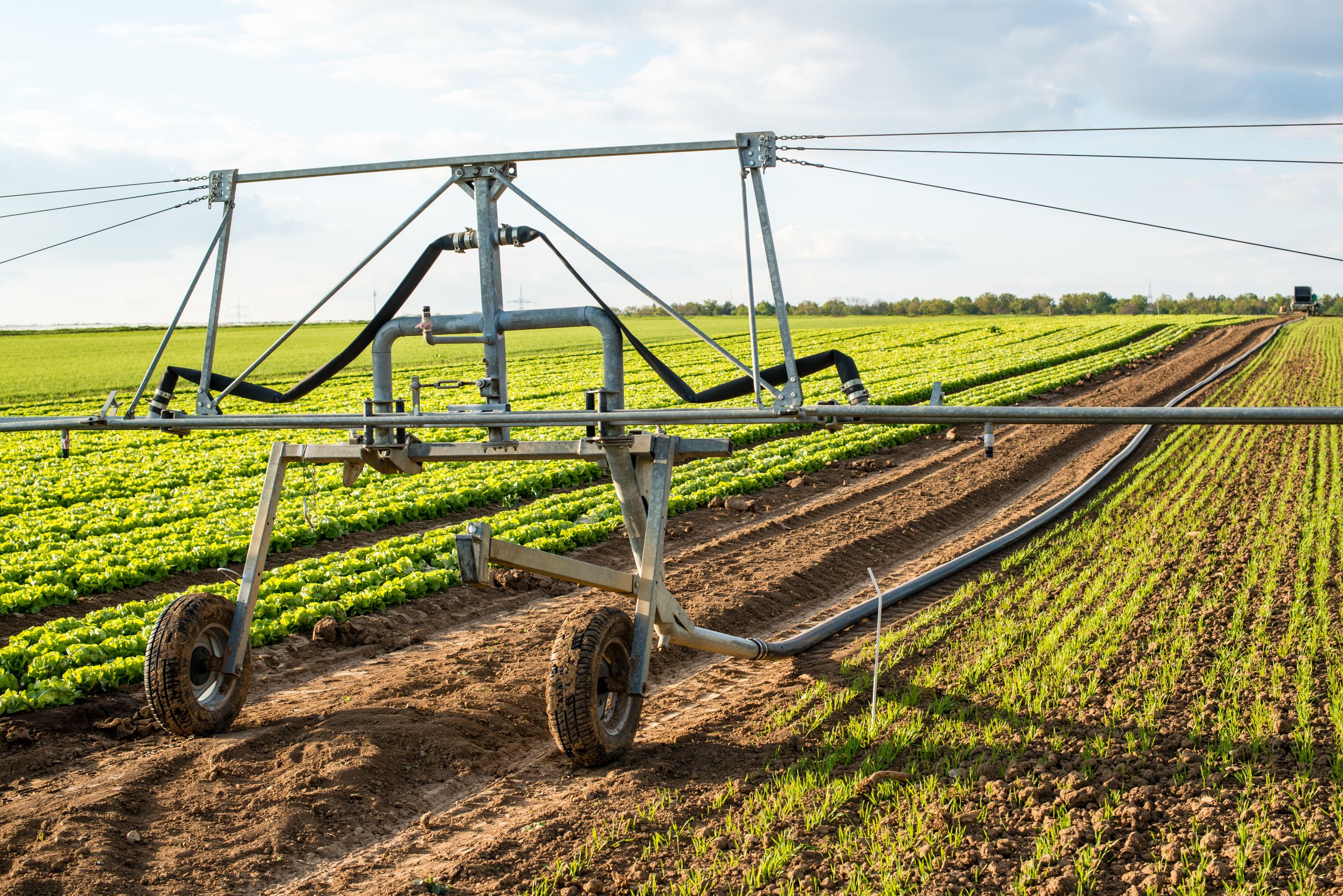 Farmers are transforming communities through regenerative agriculture for healthier food