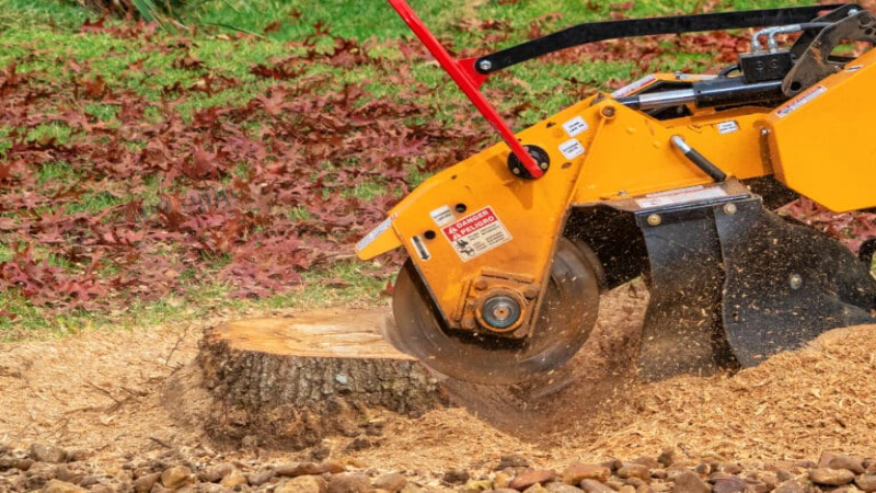 Hire a Professional Tree Stump Grinder in Peachtree City, GA, Today