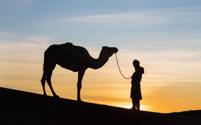 Tips for Preparing for a Desert Tour From Marrakech