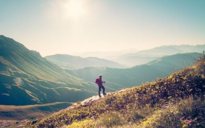 Group Wilderness Tours in Alaska: Explore the Untamed Beauty of Nature
