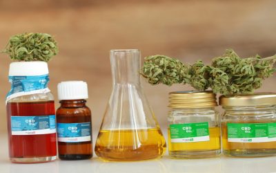 Discovering the Best Vapes near Snohomish, WA: A Guide to Having Quality Vaping Experiences