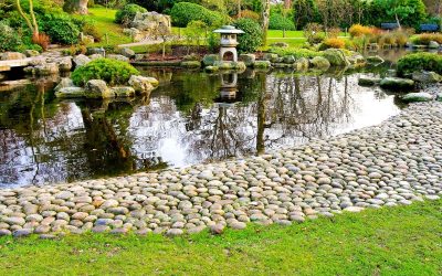 Enhance Your Outdoors with Stunning Backyard Hardscape Design in Denver, CO