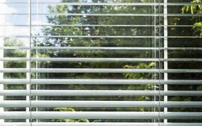 Invest in style and efficiency: Wood windows in Truckee, CA