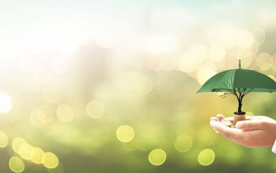 Unlocking Opportunities – Scholarship Programs in India