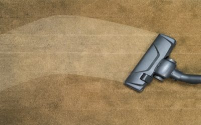 Expert Carpet Cleaning Solutions Near Madison, WI for Spotless Floors