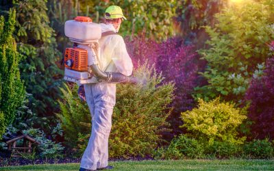 Achieve a Lush Yard with Professional Lawn Treatment Services Huntsville AL Residents Trust