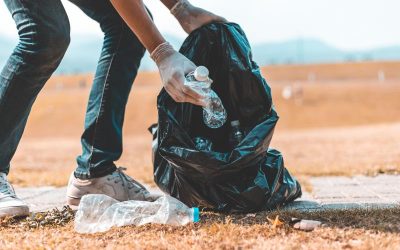 Save the Environment by Choosing Tire Recycling Near Mount Laurel Township NJ Today