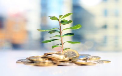 Steps to Securing Farm Loans Gilman IL for Expanding Your Agribusiness Operations