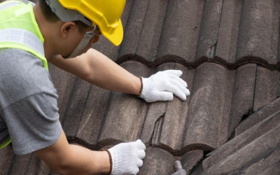 The Importance Of Proper Attic Insulation For Asphalt Roofs In Arizona