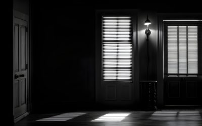 Boost Curb Appeal Instantly Using Plantation Shutters Tampa FL in Your Décor