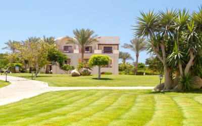 Homeowners Choose Drought-Tolerant Bermudagrass Murrieta, CA for Lasting Green Lawns