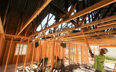Expert Steps for Effective Basement Flood Damage Cleanup in Downers Grove, IL Homes