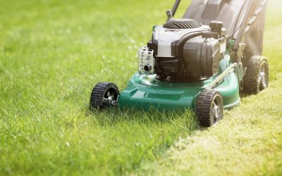 Bring Out Greener, Fuller Grass with Lawn Fertilizer Service in Bartlett, TN