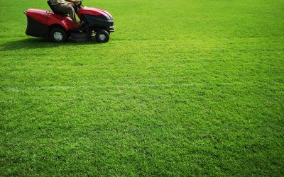 Stop Weeds Before They Spread Using Lawn Weed Service in Charlestown, IN