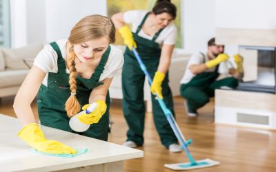 Bring Comfort and Cleanliness Home Using Maid Services In Lenexa, KS for Trusted Help