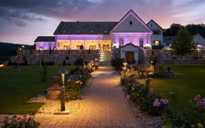 Brighten garden paths and walkways using pathway lighting that Charlottesville, VA, residents prefer