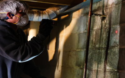 Understanding Black Mold Removal Cost Newnan, GA, For Better Budgeting And Peace Of Mind