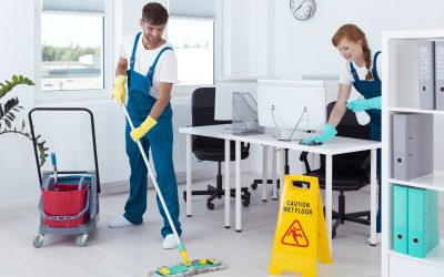 How a Home Cleaning Service Fort Collins CO Can Transform Your Living Space Effortlessly
