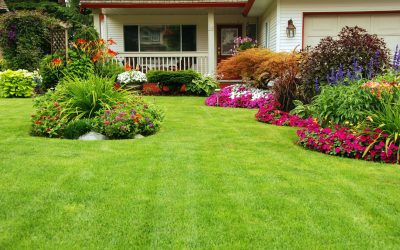 Bring Your Dream Yard to Life Using Landscape Design Hilo, HI Expertise and Tips