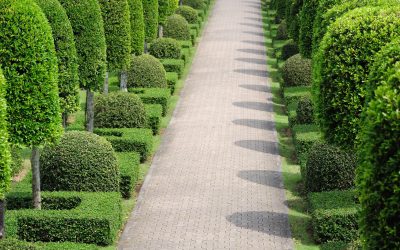 The Benefits Your Property Gains With a Commercial Paving Company in Louisville KY