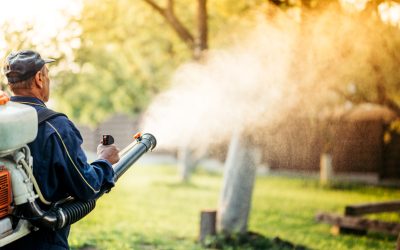 Achieve a Safer Home Environment Using Mosquito Service in Clarksville, IN