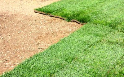 Sod Replacement Temecula CA: A Practical Guide for Choosing the Right Service